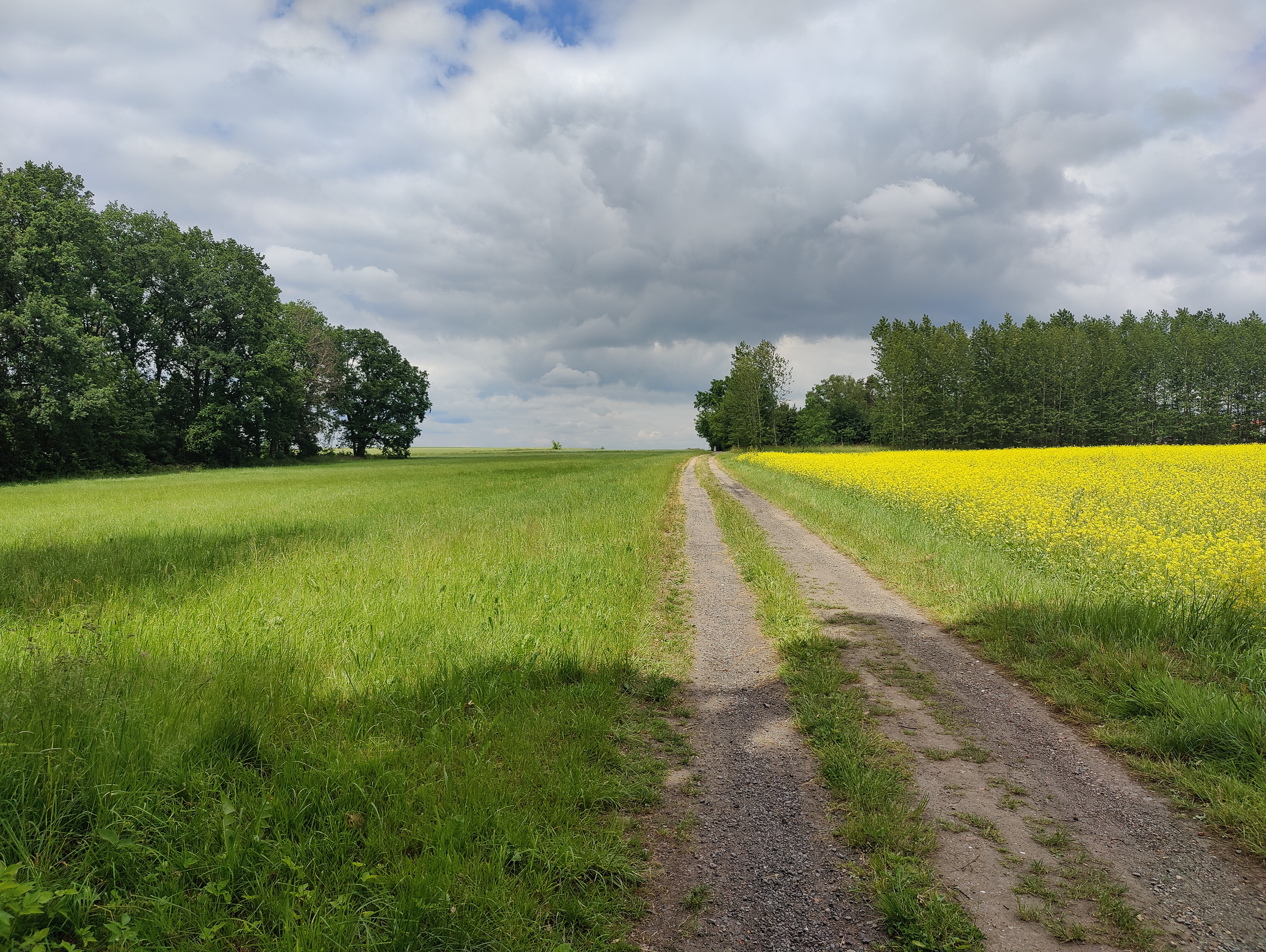 Großröhrsdorf – einstiges Zentrum der deutschen Bandweberei